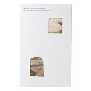 Art Now: Hylozoic/Desires exhibition book